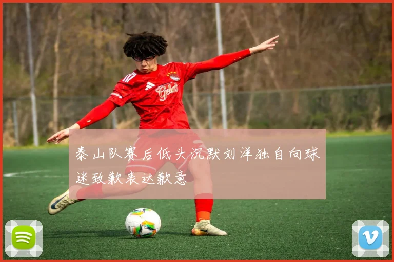 泰山队赛后低头沉默刘洋独自向球迷致歉表达歉意