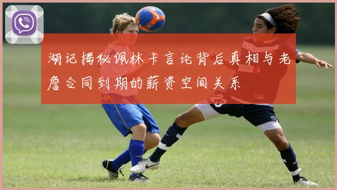湖记揭秘佩林卡言论背后真相与老詹合同到期的薪资空间关系